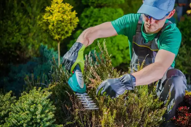 landscaping services Biloxi